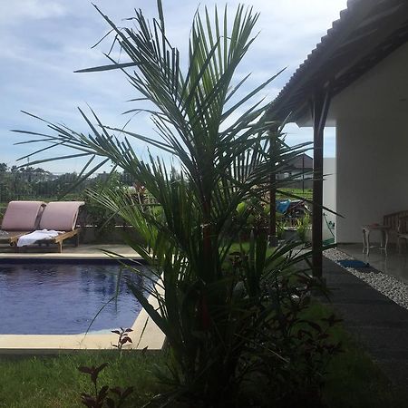 Pererenan Nengah Guest House Canggu  Ngoại thất bức ảnh