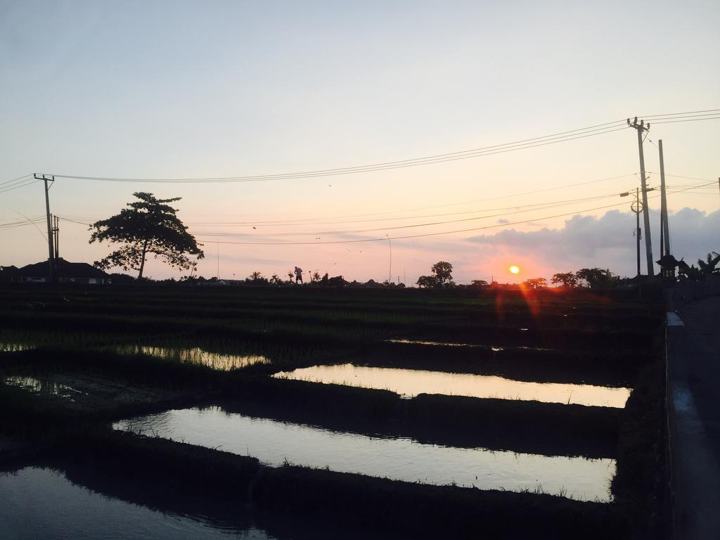 Pererenan Nengah Guest House Canggu  Ngoại thất bức ảnh